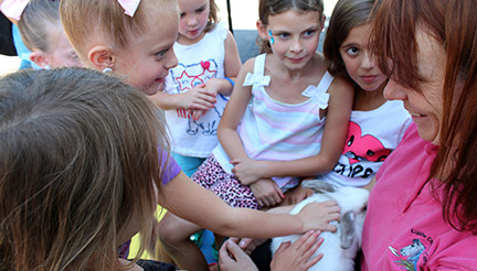 Children petting a bunny