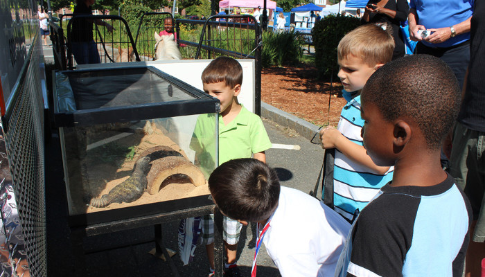 Children viewing Winston the Lizard