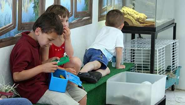 Children exploring natural objects