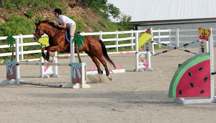 Girl jumping her horse in our outdoor arena